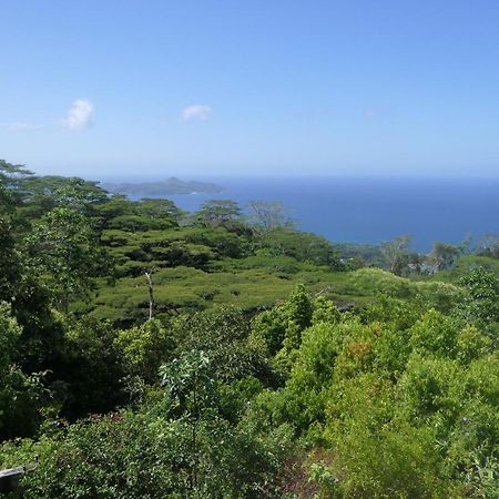 Villa Tropical Garden Self Catering Victoria Exterior foto