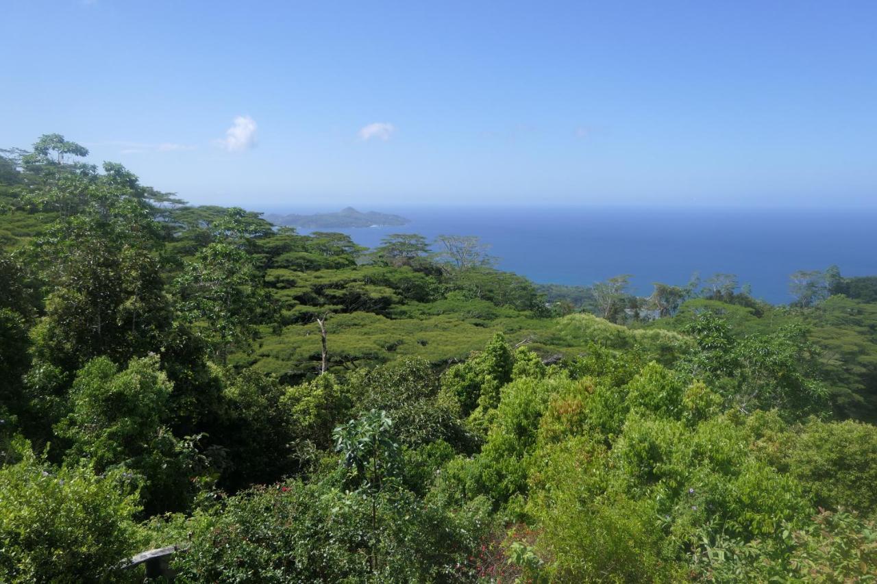 Villa Tropical Garden Self Catering Victoria Exterior foto