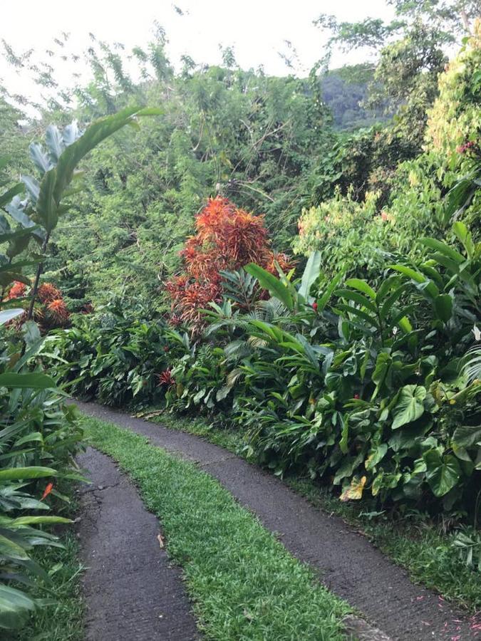 Villa Tropical Garden Self Catering Victoria Exterior foto