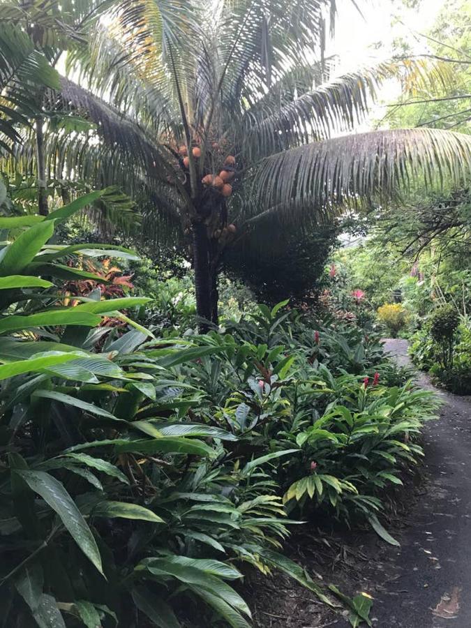 Villa Tropical Garden Self Catering Victoria Exterior foto